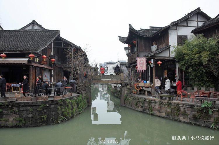 细胞分裂5